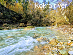 Domen's cozy rentals Kranj